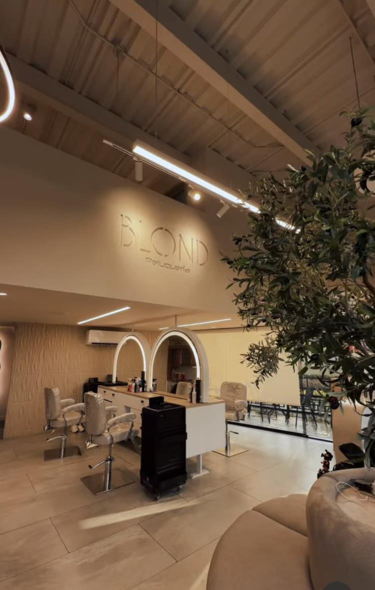 Salón de Ciudad Jardín con techo de madera, espejos en arco, sillas y un olivo