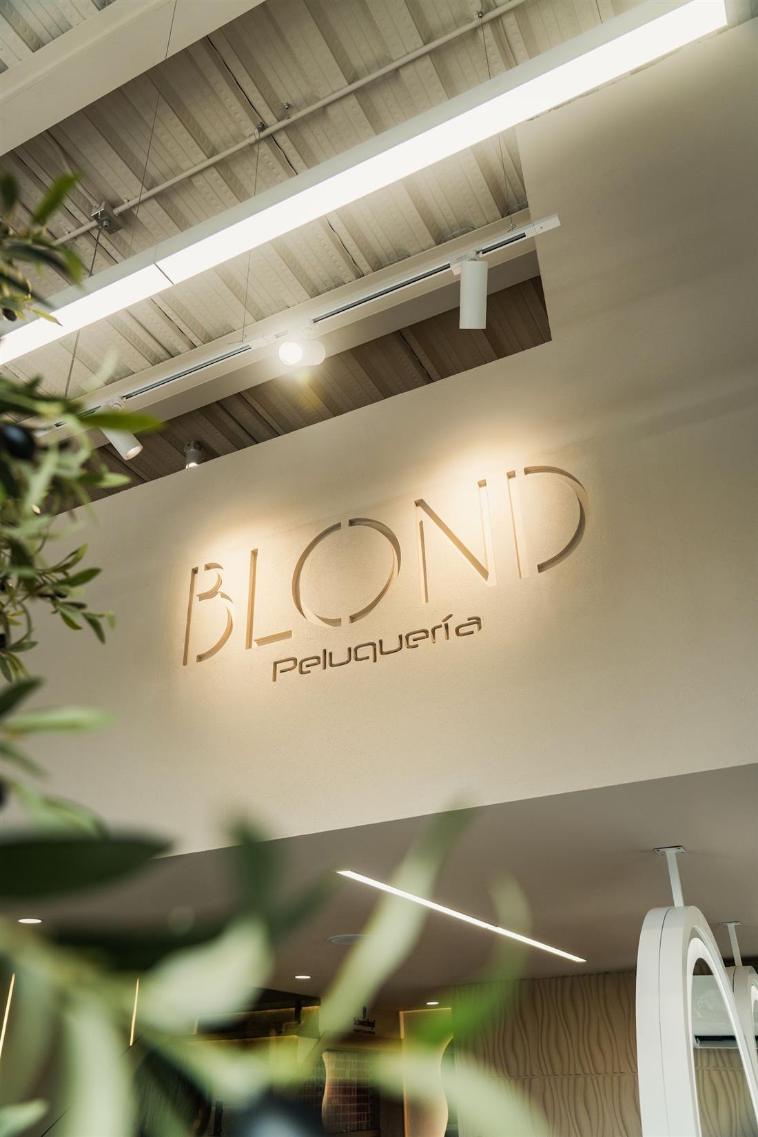 Pared de yeso con el logo BLOND Peluquería tallado y ramas de olivo en primer plano